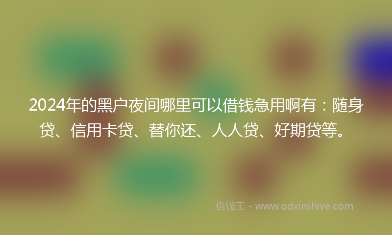 2024年的黑户夜间哪里可以借钱急用啊有：随身贷、信用卡贷、替你还、人人贷、好期贷等。