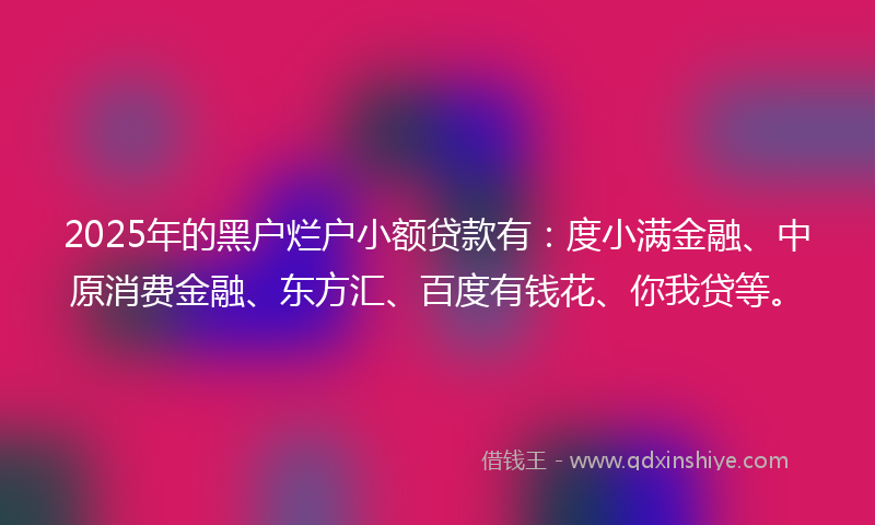 2025年的黑户烂户小额贷款有：度小满金融、中原消费金融、东方汇、百度有钱花、你我贷等。