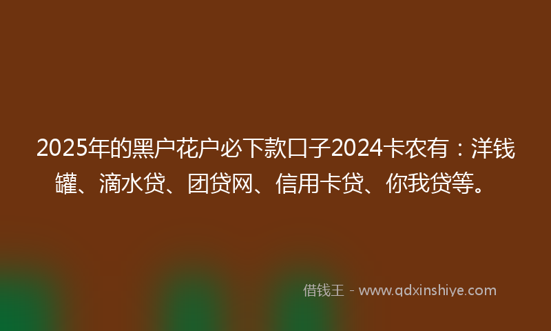 2025年的黑户花户必下款口子2024卡农有：洋钱罐、滴水贷、团贷网、信用卡贷、你我贷等。