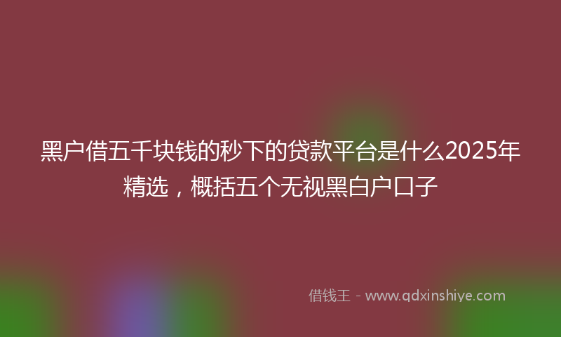 黑户借五千块钱的秒下的贷款平台是什么2025年精选，概括五个无视黑白户口子