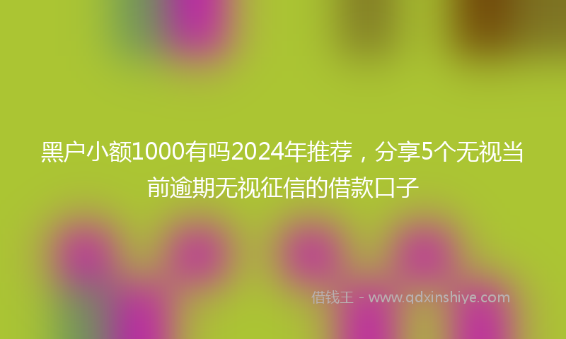 黑户小额1000有吗2024年推荐，分享5个无视当前逾期无视征信的借款口子