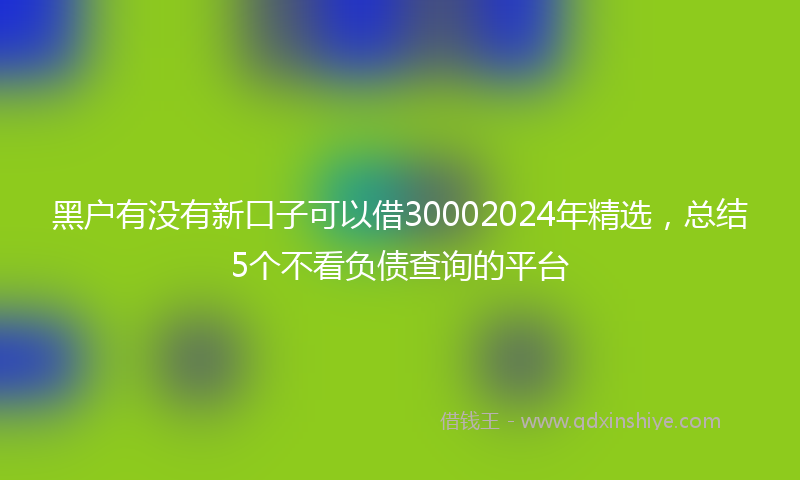 黑户有没有新口子可以借30002024年精选，总结5个不看负债查询的平台