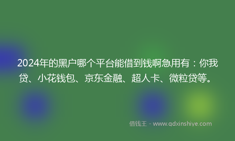 2024年的黑户哪个平台能借到钱啊急用有：你我贷、小花钱包、京东金融、超人卡、微粒贷等。