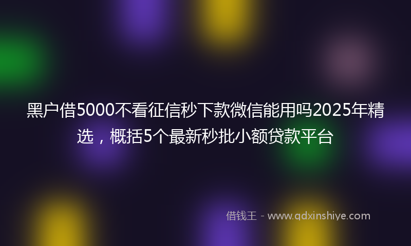 黑户借5000不看征信秒下款微信能用吗2025年精选，概括5个最新秒批小额贷款平台