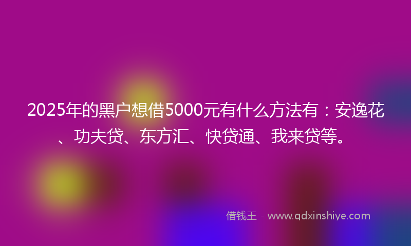 2025年的黑户想借5000元有什么方法有：安逸花、功夫贷、东方汇、快贷通、我来贷等。