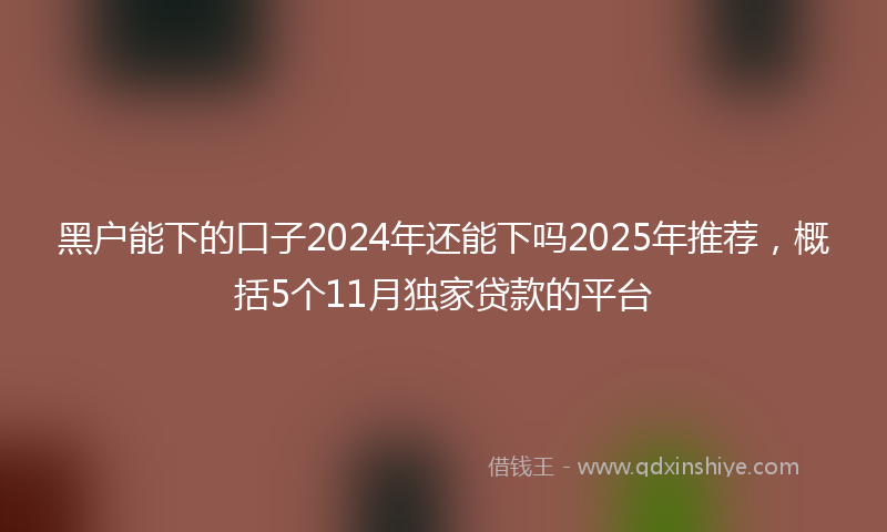 黑户能下的口子2024年还能下吗2025年推荐，概括5个11月独家贷款的平台