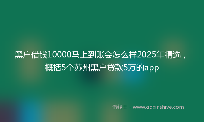 黑户借钱10000马上到账会怎么样2025年精选，概括5个苏州黑户贷款5万的app