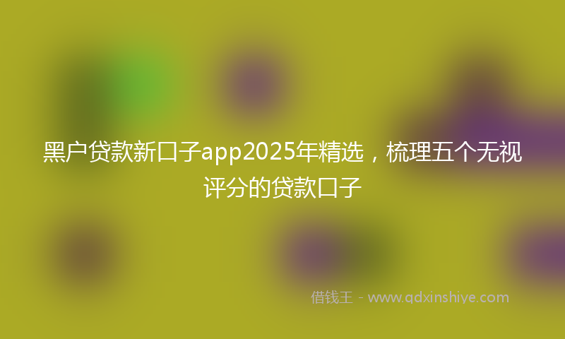 黑户贷款新口子app2025年精选，梳理五个无视评分的贷款口子