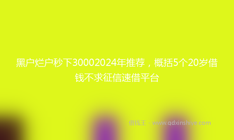 黑户烂户秒下30002024年推荐，概括5个20岁借钱不求征信速借平台