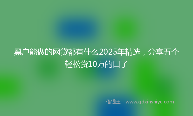 黑户能做的网贷都有什么2025年精选，分享五个轻松贷10万的口子