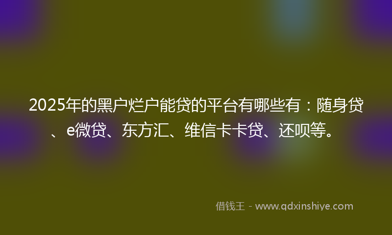 2025年的黑户烂户能贷的平台有哪些有：随身贷、e微贷、东方汇、维信卡卡贷、还呗等。