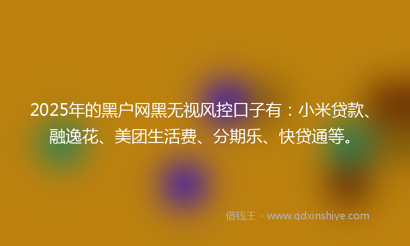 2025年的黑户网黑无视风控口子有：小米贷款、融逸花、美团生活费、分期乐、快贷通等。