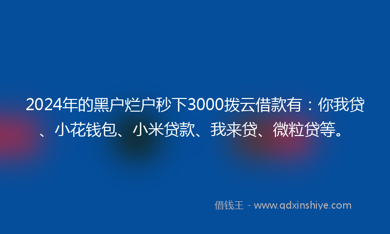 2024年的黑户烂户秒下3000拨云借款有：你我贷、小花钱包、小米贷款、我来贷、微粒贷等。