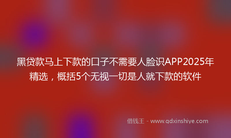 黑贷款马上下款的口子不需要人脸识APP2025年精选，概括5个无视一切是人就下款的软件