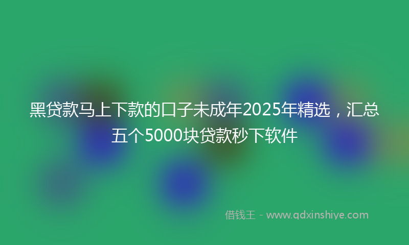 黑贷款马上下款的口子未成年2025年精选，汇总五个5000块贷款秒下软件