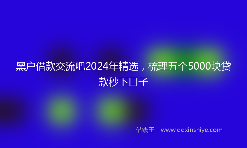 黑户借款交流吧2024年精选，梳理五个5000块贷款秒下口子