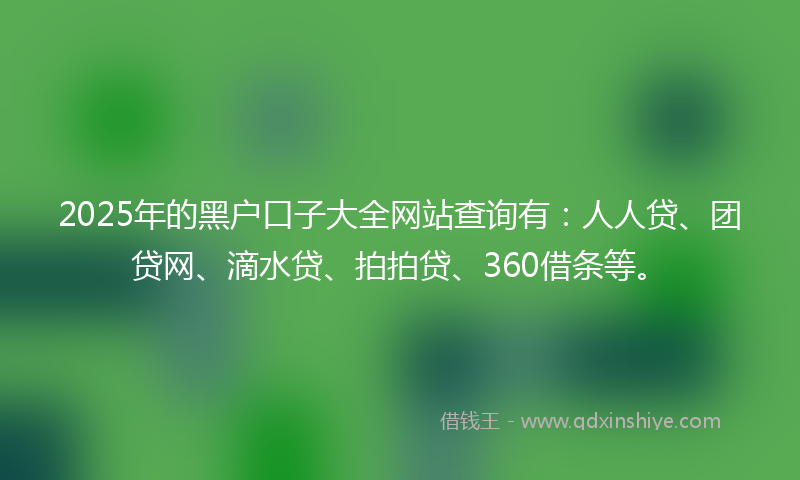 2025年的黑户口子大全网站查询有：人人贷、团贷网、滴水贷、拍拍贷、360借条等。