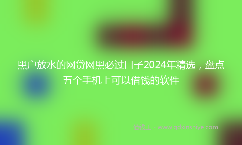 黑户放水的网贷网黑必过口子2024年精选，盘点五个手机上可以借钱的软件