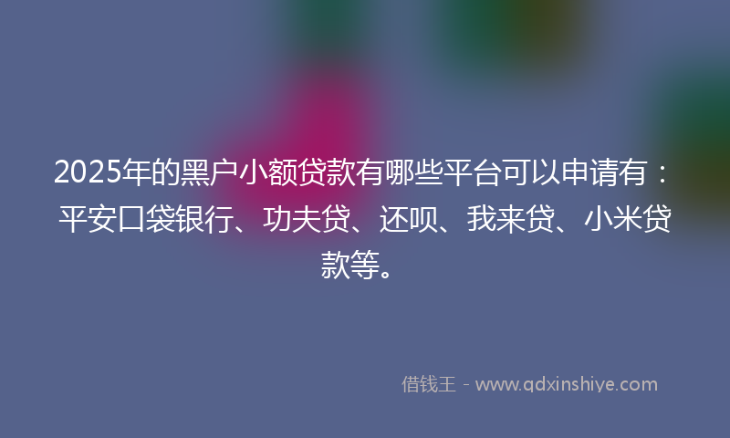 2025年的黑户小额贷款有哪些平台可以申请有：平安口袋银行、功夫贷、还呗、我来贷、小米贷款等。
