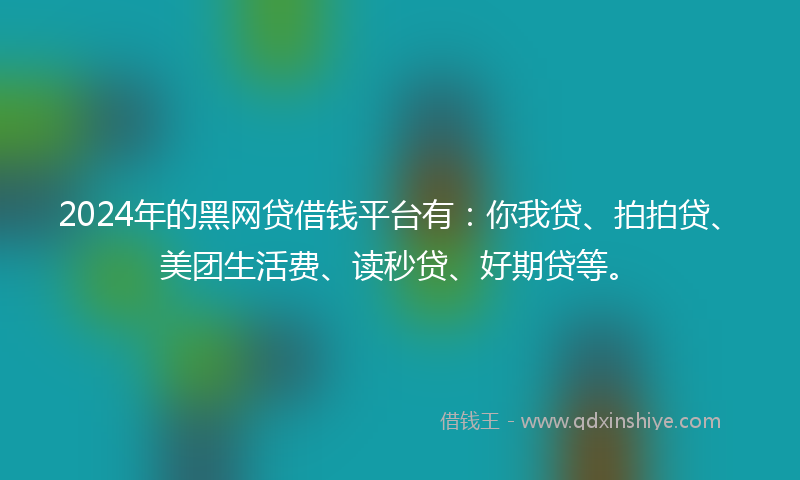 2024年的黑网贷借钱平台有：你我贷、拍拍贷、美团生活费、读秒贷、好期贷等。