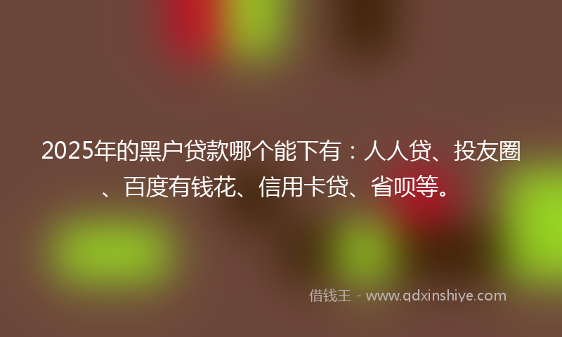 2025年的黑户贷款哪个能下有：人人贷、投友圈、百度有钱花、信用卡贷、省呗等。