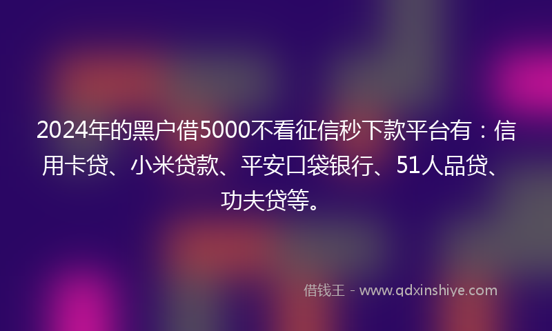 2024年的黑户借5000不看征信秒下款平台有：信用卡贷、小米贷款、平安口袋银行、51人品贷、功夫贷等。