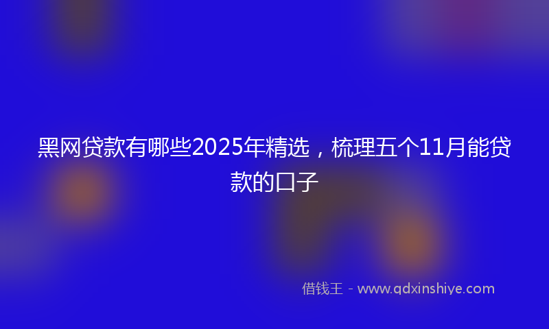 黑网贷款有哪些2025年精选，梳理五个11月能贷款的口子