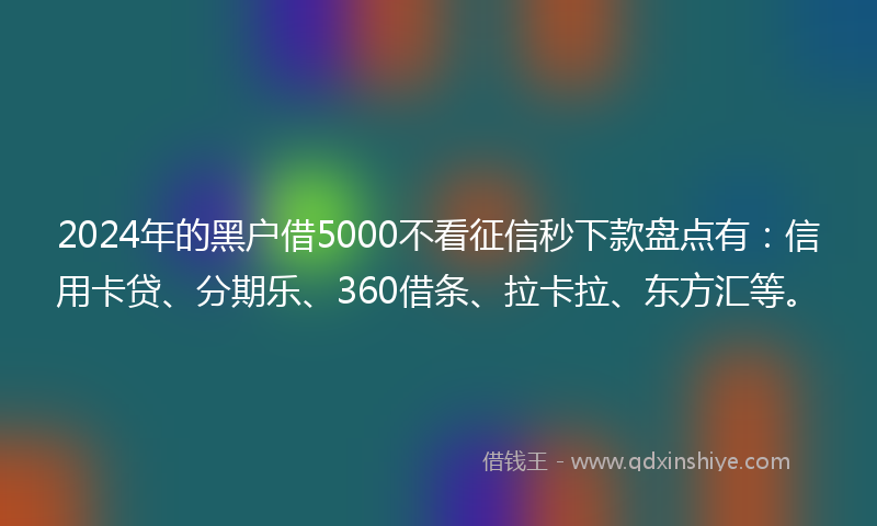 2024年的黑户借5000不看征信秒下款盘点有：信用卡贷、分期乐、360借条、拉卡拉、东方汇等。