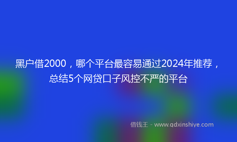 黑户借2000，哪个平台最容易通过2024年推荐，总结5个网贷口子风控不严的平台