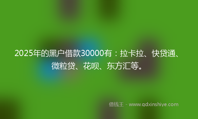 2025年的黑户借款30000有：拉卡拉、快贷通、微粒贷、花呗、东方汇等。
