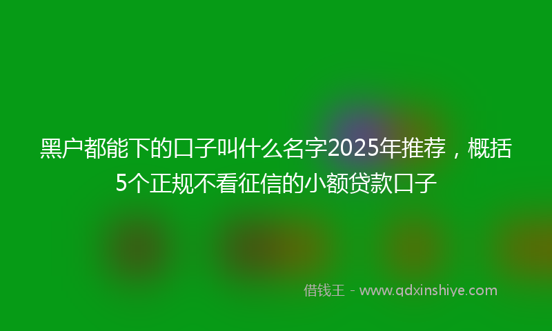 黑户都能下的口子叫什么名字2025年推荐，概括5个正规不看征信的小额贷款口子