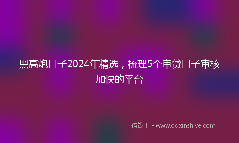 黑高炮口子2024年精选，梳理5个审贷口子审核加快的平台