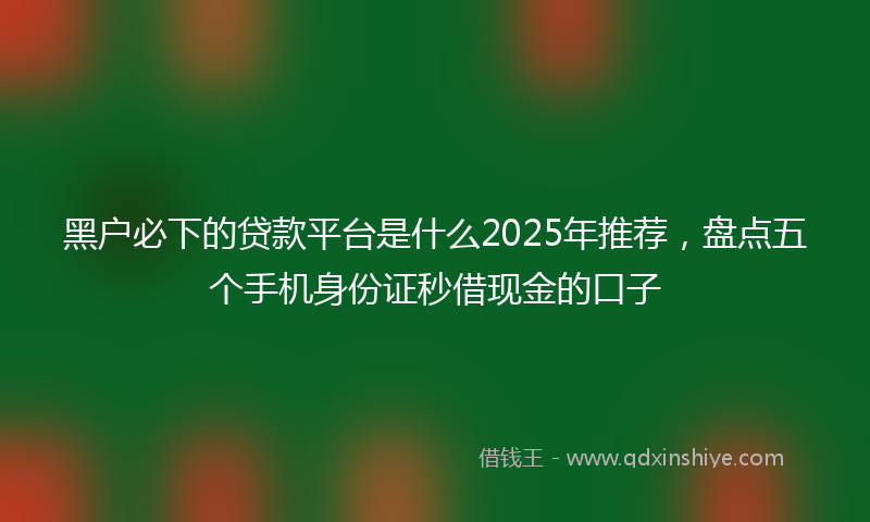 黑户必下的贷款平台是什么2025年推荐，盘点五个手机身份证秒借现金的口子
