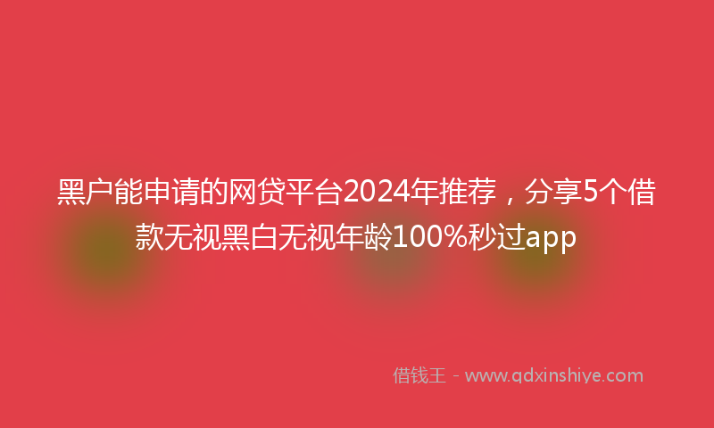 黑户能申请的网贷平台2024年推荐，分享5个借款无视黑白无视年龄100%秒过app