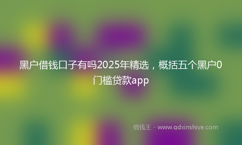 黑户借钱口子有吗2025年精选，概括五个黑户0门槛贷款app
