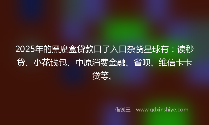 2025年的黑魔盒贷款口子入口杂货星球有：读秒贷、小花钱包、中原消费金融、省呗、维信卡卡贷等。