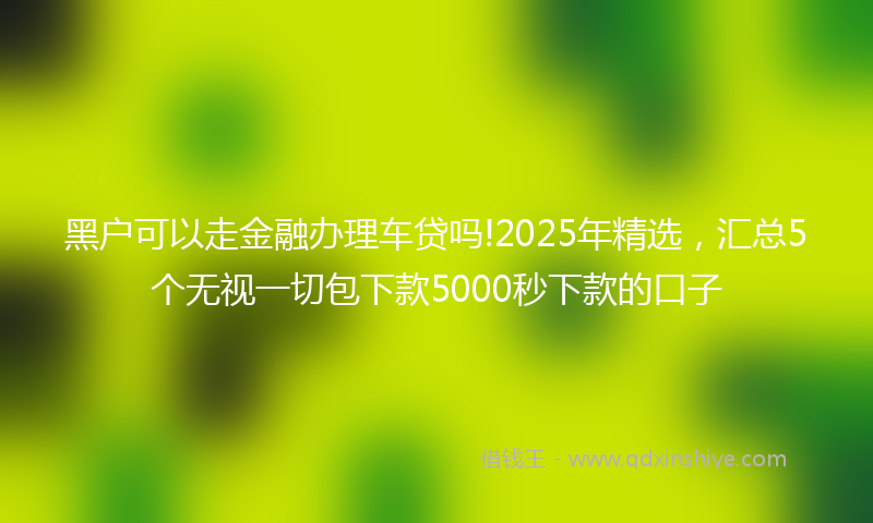 黑户可以走金融办理车贷吗!2025年精选，汇总5个无视一切包下款5000秒下款的口子
