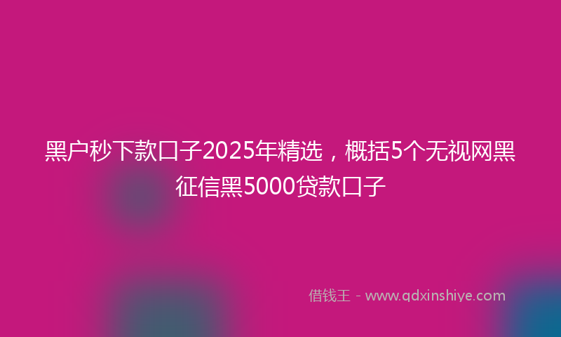 黑户秒下款口子2025年精选，概括5个无视网黑征信黑5000贷款口子