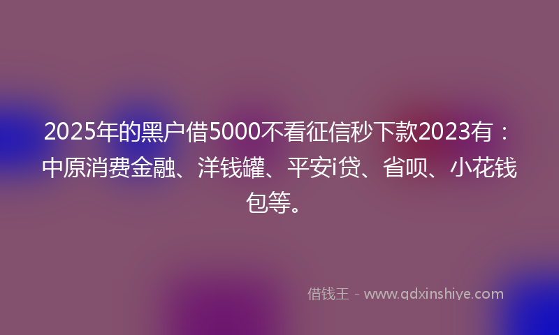 2025年的黑户借5000不看征信秒下款2023有：中原消费金融、洋钱罐、平安i贷、省呗、小花钱包等。