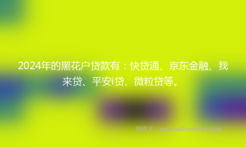 2024年的黑花户贷款有：快贷通、京东金融、我来贷、平安i贷、微粒贷等。