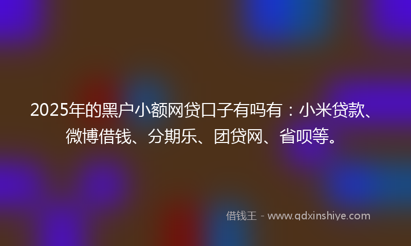 2025年的黑户小额网贷口子有吗有：小米贷款、微博借钱、分期乐、团贷网、省呗等。