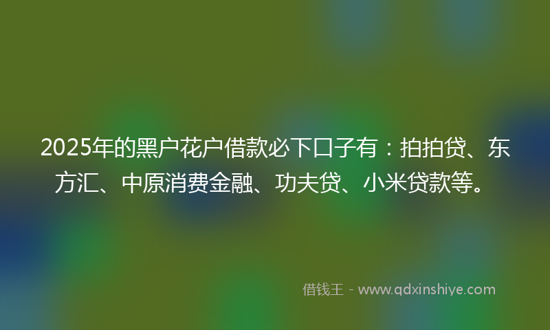 2025年的黑户花户借款必下口子有：拍拍贷、东方汇、中原消费金融、功夫贷、小米贷款等。