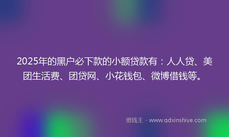 2025年的黑户必下款的小额贷款有：人人贷、美团生活费、团贷网、小花钱包、微博借钱等。