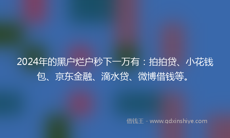 2024年的黑户烂户秒下一万有：拍拍贷、小花钱包、京东金融、滴水贷、微博借钱等。