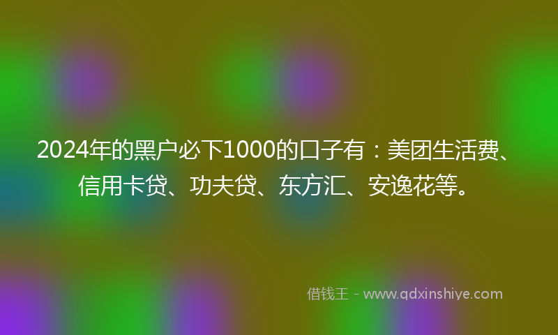 2024年的黑户必下1000的口子有：美团生活费、信用卡贷、功夫贷、东方汇、安逸花等。