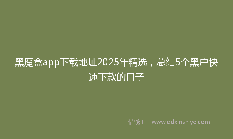 黑魔盒app下载地址2025年精选，总结5个黑户快速下款的口子