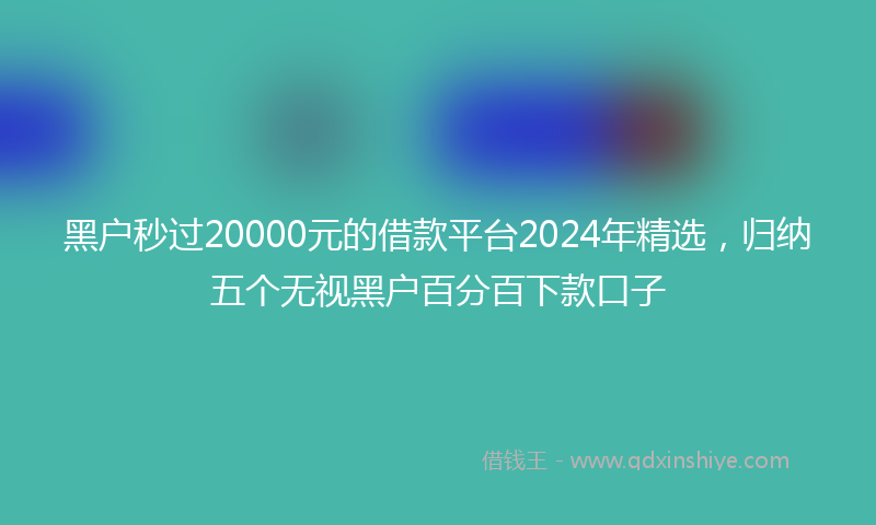 黑户秒过20000元的借款平台2024年精选，归纳五个无视黑户百分百下款口子