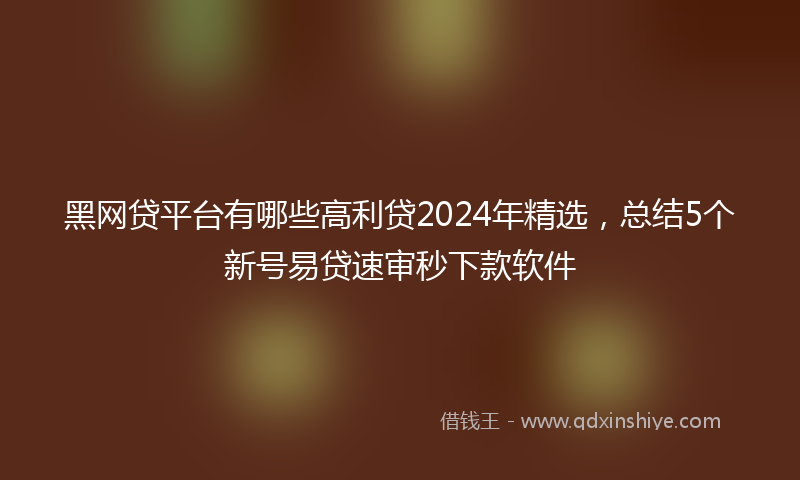 黑网贷平台有哪些高利贷2024年精选，总结5个新号易贷速审秒下款软件