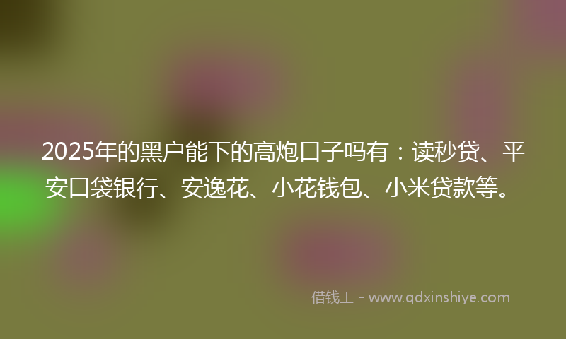 2025年的黑户能下的高炮口子吗有：读秒贷、平安口袋银行、安逸花、小花钱包、小米贷款等。