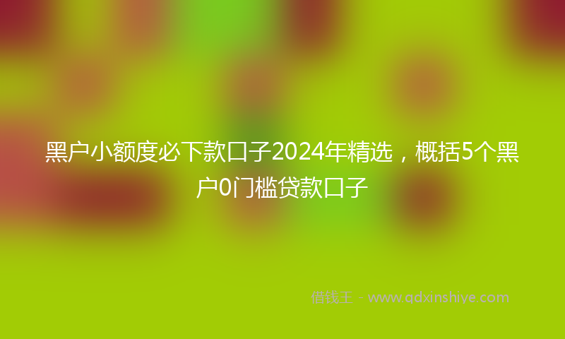 黑户小额度必下款口子2024年精选，概括5个黑户0门槛贷款口子